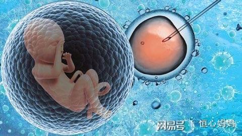 生殖内分泌专家